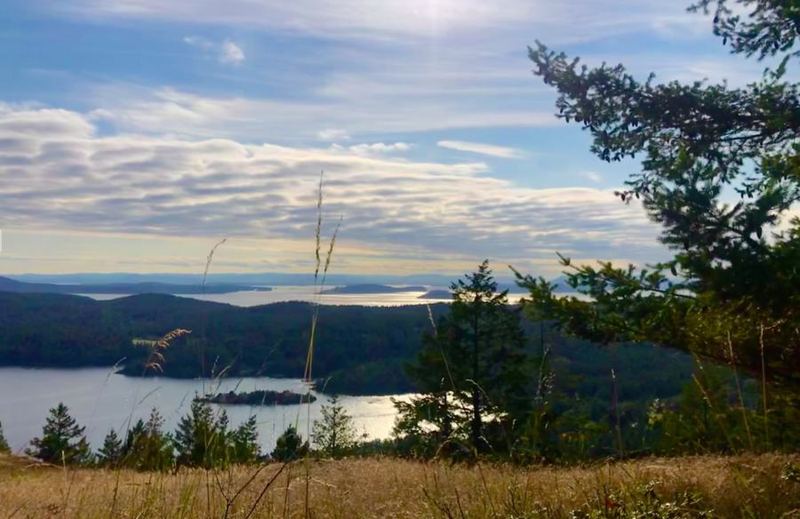 Forest trail at Turtleback Mountain
