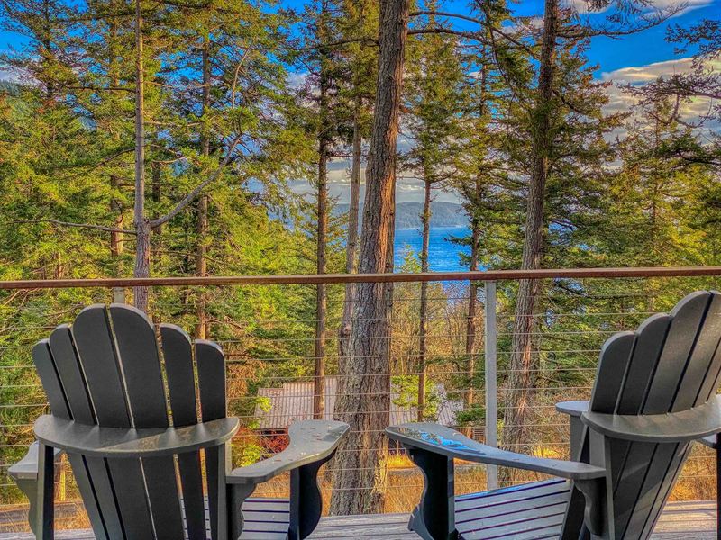 Adirondack chairs on the deck overlooking water through the firs